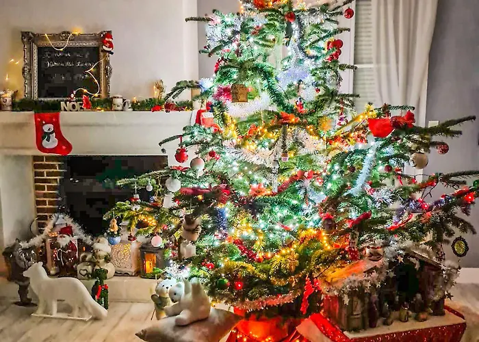 Bed & Breakfast Le Chateau Des Lumieres De La Baie De Somme D'hotes De Charme Saint-Blimont